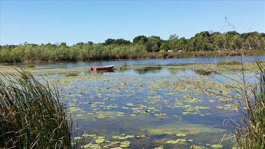 Lake Kununurra in der Mittagszeit