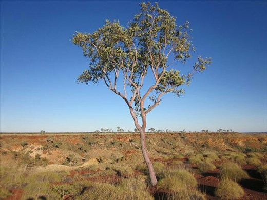 24 hour stop along the Great Northern Hwy. It is called Ngumban Hill and it is beautiful.