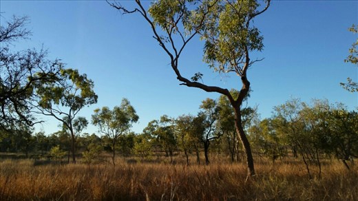 The view from our campsite. 