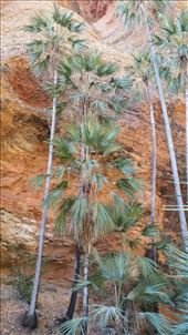 by heffmann, Views[328]