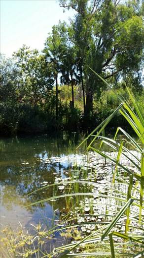 Moonlight Gorge...in dem sind wir weiter hinten auch geschwommen.