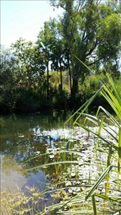 Moonlight Gorge...in dem sind wir weiter hinten auch geschwommen.: by heffmann, Views[354]