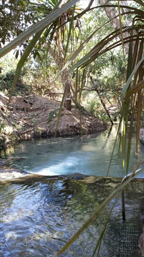 Hot Springs in Katherine, Northern Territory. Wir haben 100 Meter entfernt gecampt. Das Schild, dass campen verboten ist, haben wir mal eben uebersehen. Am naechsten Morgen sind wir auf Erkundungspfad gegangen und haben diese tolle warme Quelle gefunden. Herrlich warm und entspannend. Erst waren Sigi und ich allein da, dann kam ein Ehepaar dazu mit denen wir uns schnell ueber das Reisen durch Australien unterhalten haben. Das passiert eigentlich jeden Tag. Alle Leute sprechen alle an. Ganz toll!