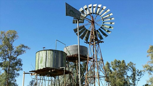 Typisch australisch...sieht man aber nicht mehr haeufig.