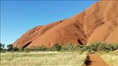 Von nahem sieht Uluru ganz anders aus. Aber irgendwie sind alle meine Erwartungen uebertroffen worden. Wenn man sich vergegenwaertigt, was fuer eine spirituelle Bedeutung Uluru fuer die Aborigines hat, kann einem ganz ehrfuerchtig werden. : by heffmann, Views[182]
