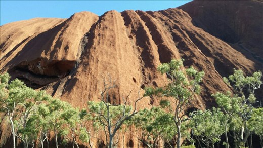 Die Suedseite ist kuehler und gruener.