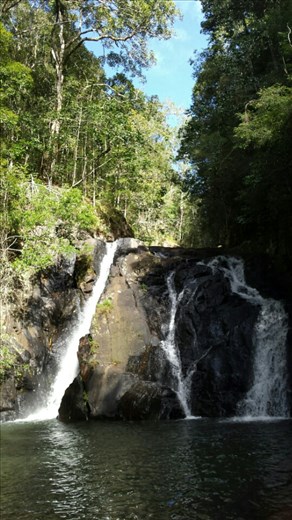 Ein kurzer Stop bevor wir die letzten 150 km nach Cairns schaffen. Wir sind in einem tollen Regenwald mit Wasserfall gelandet. 