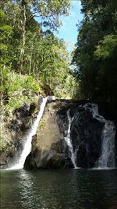 Ein kurzer Stop bevor wir die letzten 150 km nach Cairns schaffen. Wir sind in einem tollen Regenwald mit Wasserfall gelandet. : by heffmann, Views[201]