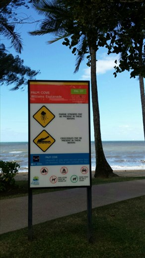 Eine mutige gehen ins Wasser. Wir nicht! Ich habe Respekt for der Warnung, dass es giftige Quallen gibt und die Krokodile sind auch nicht weit entfernt...