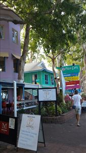 Von Alice Springs nach Cairns sind wir 5 Tage gefahren und hatten auf der Strecke gute Stellplaetze. Die meisten umsonst, weil die fuer die camper eingerichtet sind...24 Std stops. Cairns fanden wir eher langweilig, also sind wir weiter noerdlich nach Palm Cove. Unser camping Platz ist nur von einer Strasse getrennt. Wir hoeren Wellenrauschen bei Tag und Nacht. : by heffmann, Views[198]