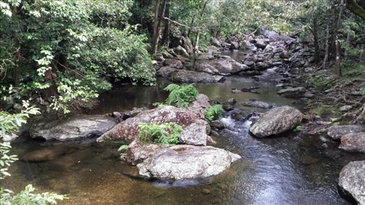 Am Anfang der Stoney Creek Falls