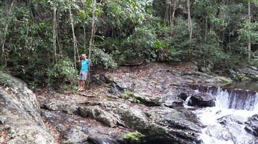 Sigi spielt Tarzan...eine abgeschwaechte Kopie :)