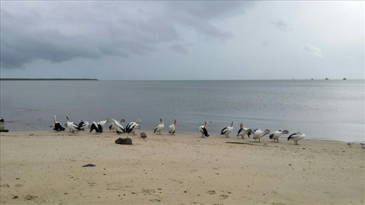 Cairns foreshore