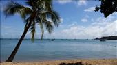 Horseshoe Bay auf Magnetic Island: by heffmann, Views[137]