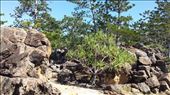 Whitehaven Beach : by heffmann, Views[122]