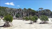 Whitehaven Beach : by heffmann, Views[137]