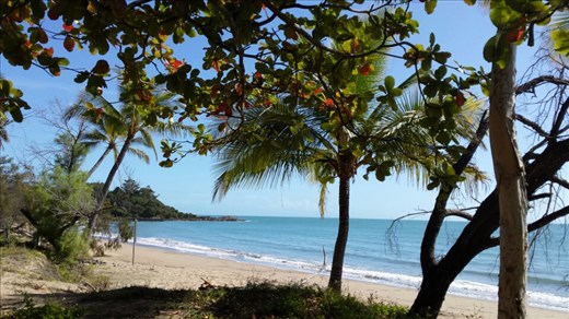 Wir haben eine kurze Pause Haliday Bay im Cape Hillsborough National Park eingelegt