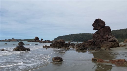 Casuarina Beach im Cape Hillsborough NP 