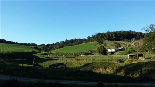 Mal wieder eine australische Alm im Eungella NP 