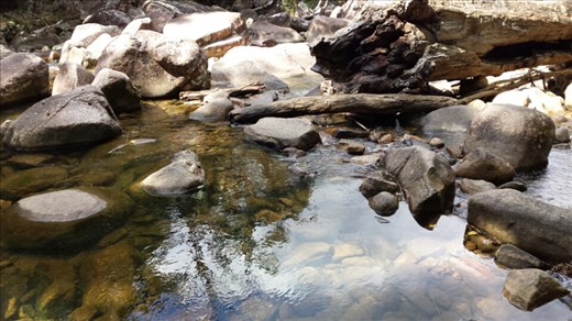 Finch Hatton Gorge, einer der pools mit fliessendem Wasser.