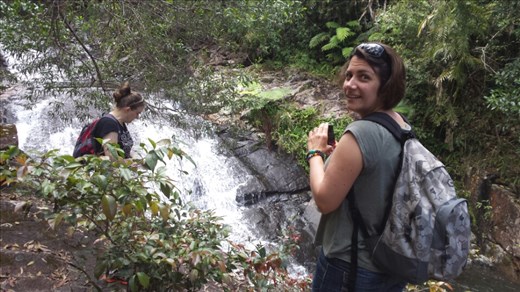 Das war der beste Ausflug von allen. Wir sind zur Finch Hatton Gorge geklettert. Unterwegs wurde viel rumgebloedelt...