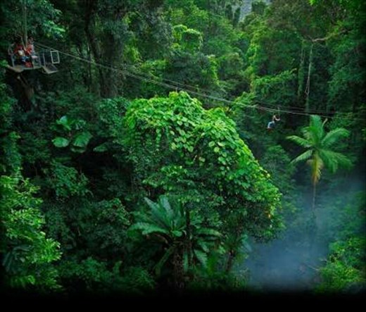 Daintree Rainforest...leider waren wir dort nur eine Nacht. Es hat so stark geregnet wie jn der 'wet season' und der camping Platz stand unter Wasser. Es sollte noch die naechsten 4 Tage so weiterregnen. Deshalb entschlossen wir uns nach Port Douglas zu fahren, wo wenigstens das Regenwasser in die Rinnen fliessen konnte. Das wenige,  was wir von Daintree mitbekommen haben, war wunderschoen. Vielleicht komme ich da noch einmal hin.