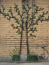 Drawing a tree on the wall of a house before the arrival of spring: by heidar, Views[299]