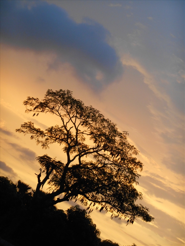 It is time to start the day. Let´s use our 86 400 seconds!