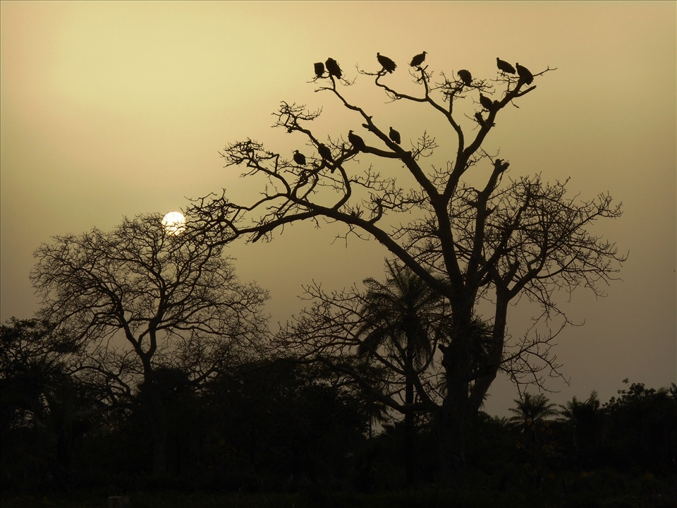 I enjoyed sunset  with local vultures. It is time to go sleep...