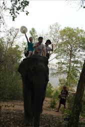 by helenreaddy, Views[183]