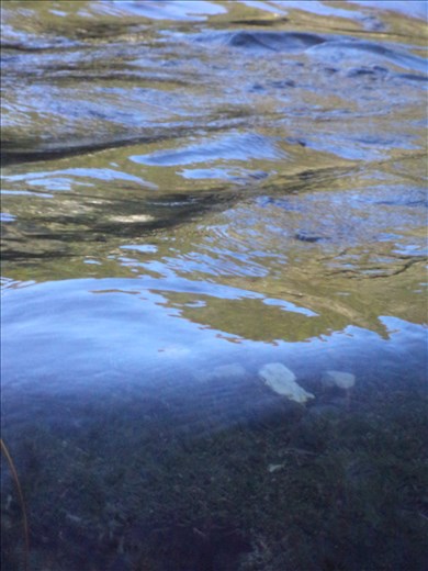 This is water skin...