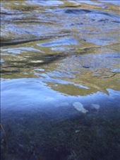 This is water skin...: by hellas, Views[274]