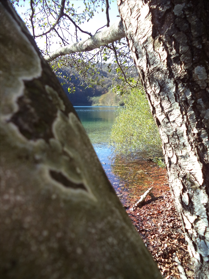 I'm on a three to see you better!