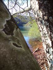 I'm on a three to see you better!: by hellas, Views[267]