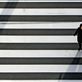 Two elderly mother walking down the street crossing Ginza, Tokyo, Japan.: by hendraeka, Views[459]