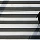 Two elderly mother walking down the street crossing Ginza, Tokyo, Japan. by: hendraeka Views[388]