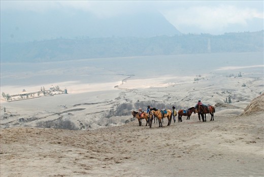 The dropped point at stairway to crater. The rented horse will wait you until you go down from crater no matter how long you in crater. The background is the Luhur Poten Bromo temple, for Tenggerese praying.