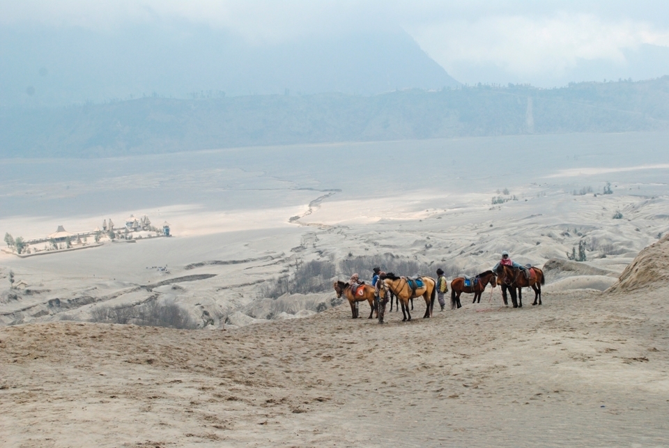 The dropped point at stairway to crater. The rented horse will wait you until you go down from crater no matter how long you in crater. The background is the Luhur Poten Bromo temple, for Tenggerese praying.