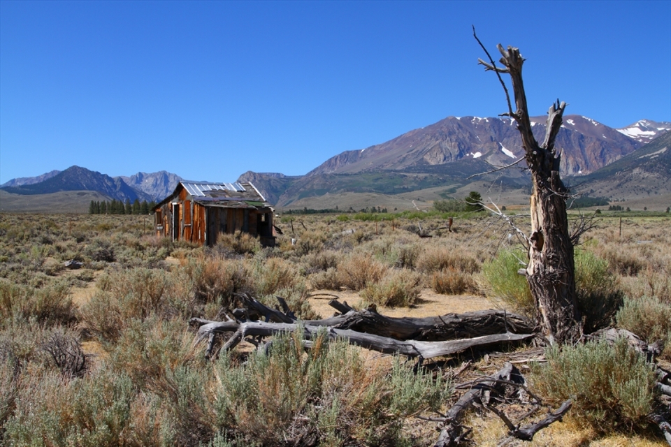 All Dried Up: Water diversions in the early 20th century made already arid conditions too hard to bear for some residents, forcing them to abandon their households and the shrinking lake.