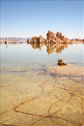 Tufa Reflections: Exposed by the declining water level, distinctive tufa towers rise from the clear briny lake.: by henrylydecker, Views[994]