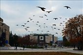 Sofia, Bulgaria. There is something in the air.: by hereandthere, Views[301]