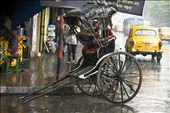 THE PULL RICKSHAW- A HERITAGE VEHICLE OF OLD CITY: by heritage, Views[529]