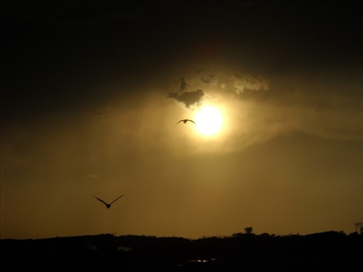 Sigmund Freud talks about an 