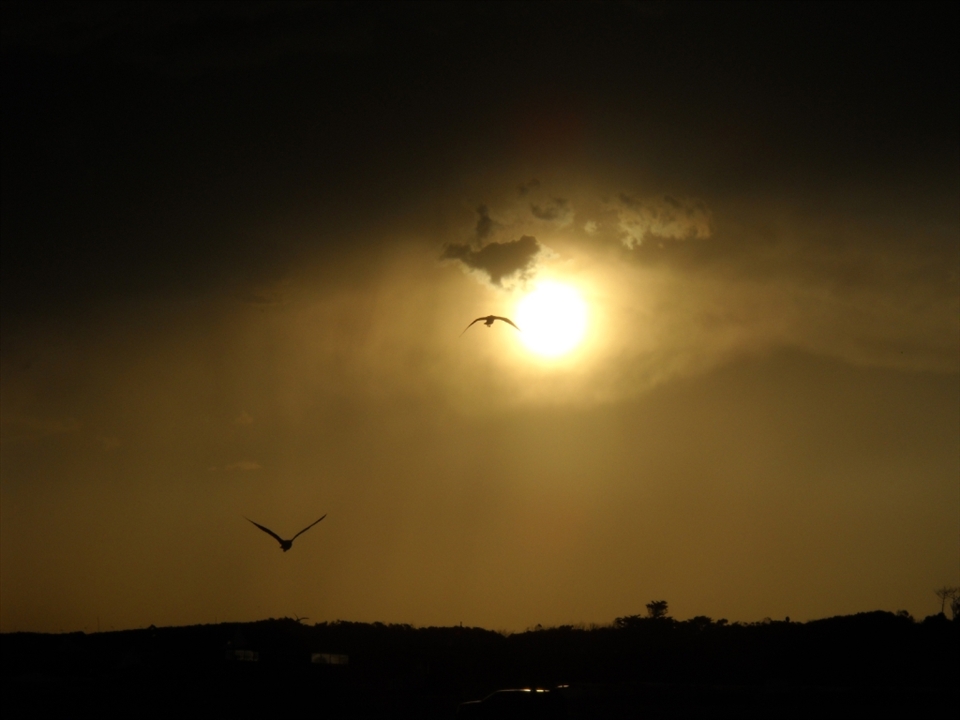 Sigmund Freud talks about an 