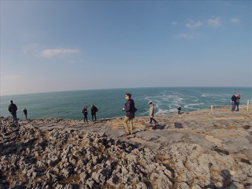 Tom was intrigued.. SURF!