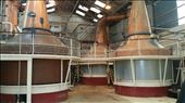 And of course we couldn't be in Scotland without learning about Whiskey!  This was the Ben Nevis Whiskey Distillery: by hethoandstokesyseuropeanadventure, Views[287]