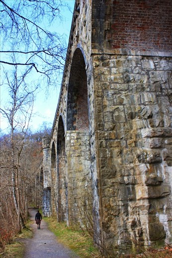 we stopped for a walk in Killicrankie..