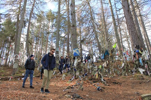 This is a Clootie Well. . people believe that if they dip the rrags or pieces of cloth of a sick family member in the river here then they would be cured.. it was the creepiest thing we've ever seen