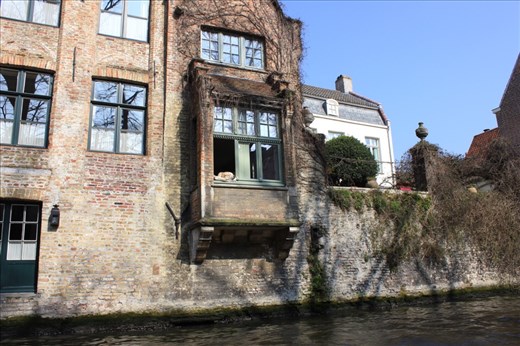 The most photographed dog..probably in all of Belgium..