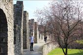 GRAVENSTEEN CASTLE!: by hethoandstokesyseuropeanadventure, Views[210]